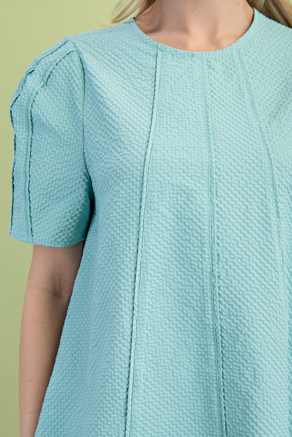 Paneled Textured Round Neck Mini Dress