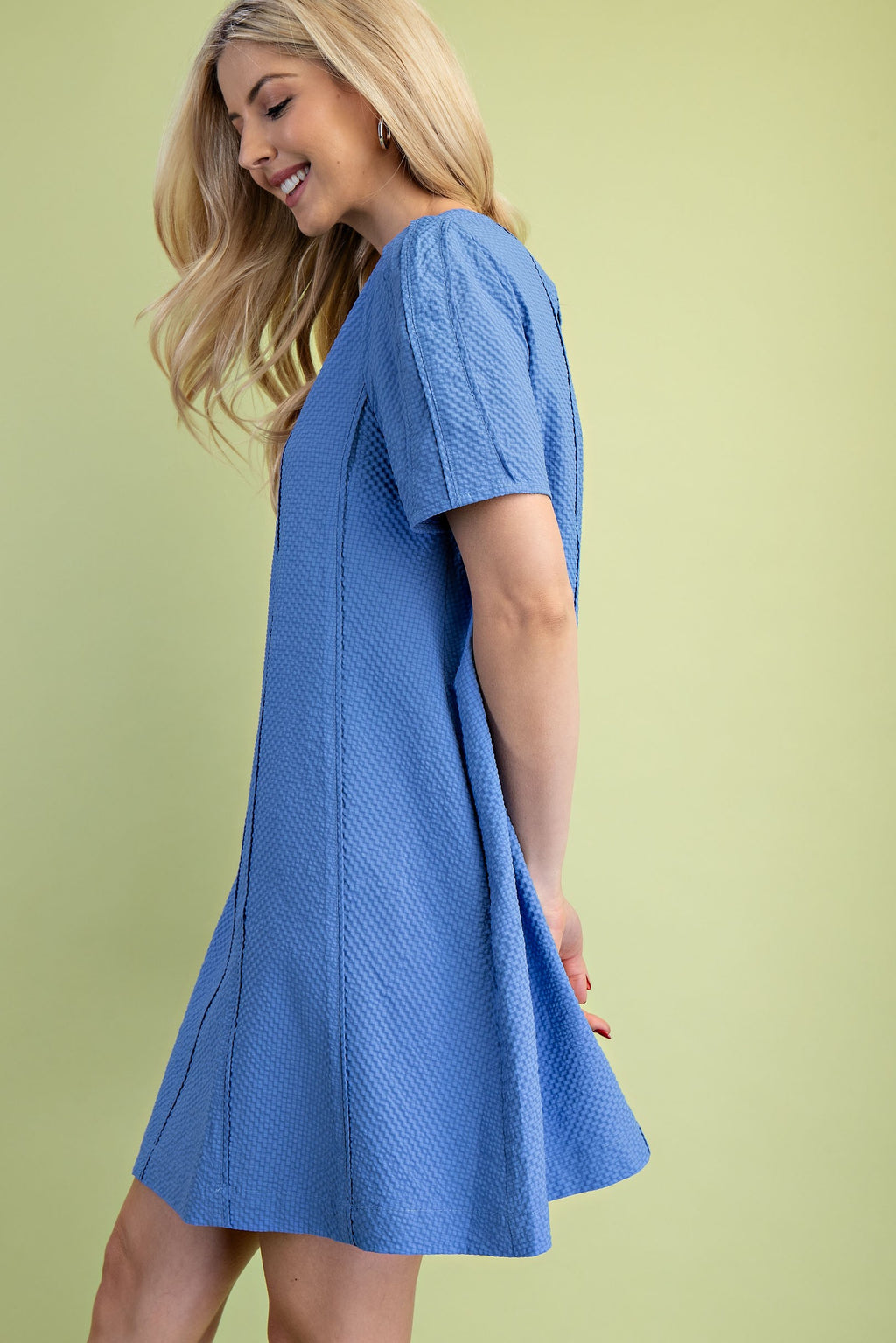Paneled Textured Round Neck Mini Dress